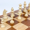 IMG_9008.jpg