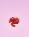 IMG_0816.jpeg
