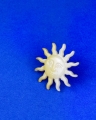 IMG_0775.jpeg