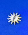 IMG_0766.jpeg