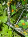 IMG_1780.jpeg