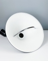 IMG_9686.JPG