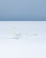 IMG_8512.jpeg