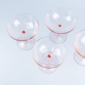 IMG_8800.jpg