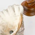 IMG_1193.jpg