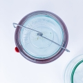 IMG_6817.jpg