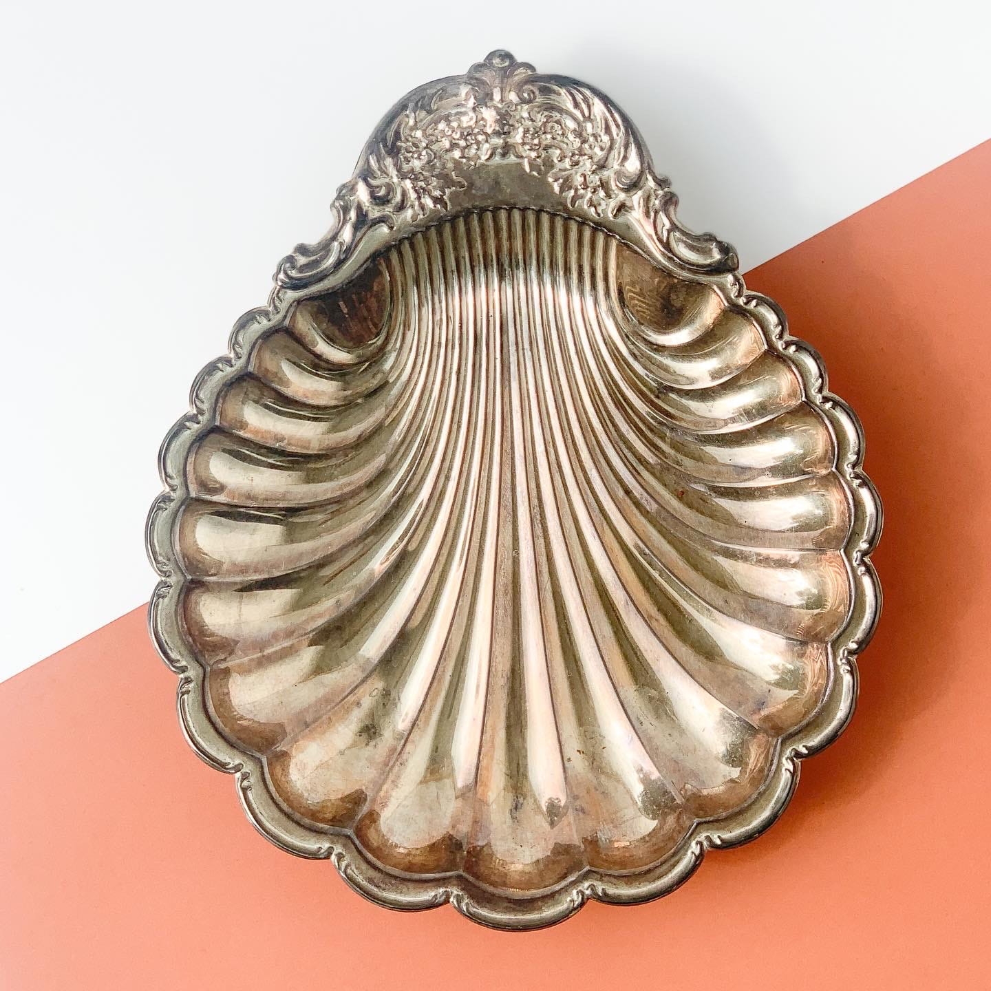 Patera muszla