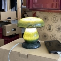 IMG_5898.jpeg