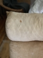 IMG_6516 2.jpeg