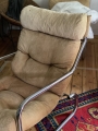 IMG_6517 2.jpeg